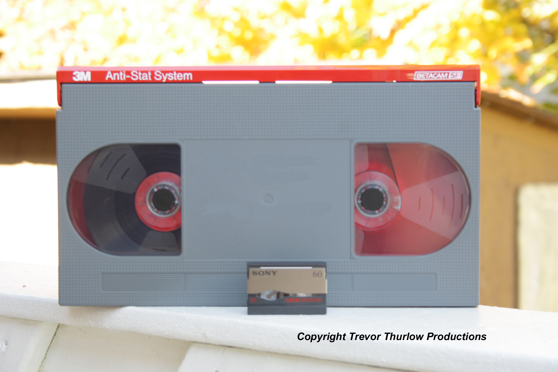 Betacam SP Conversions To Digital File or DVD.